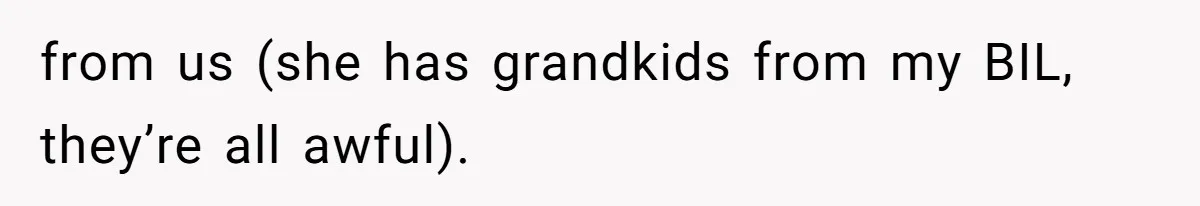 from us (she has grandkids from my BIL, they’re all awful).