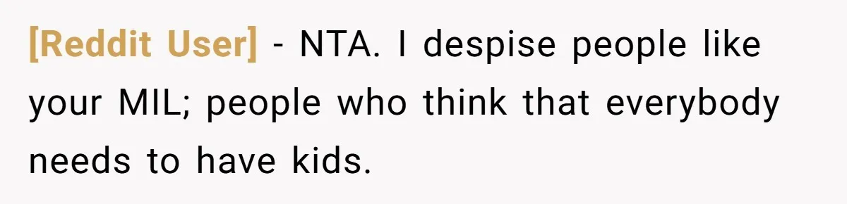 [Reddit User] − NTA. I despise people like your MIL; people who think that everybody needs to have kids.