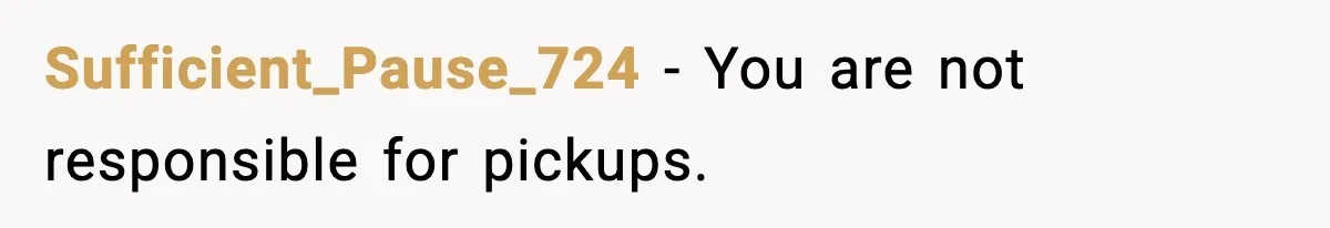 Sufficient_Pause_724 - You are not responsible for pickups.