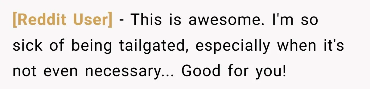 [Reddit User] − This is awesome. I'm so sick of being tailgated, especially when it's not even necessary... Good for you!