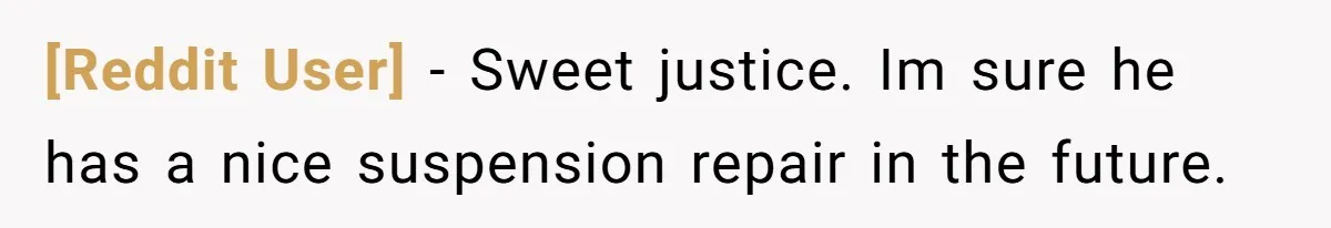 [Reddit User] − Sweet justice. Im sure he has a nice suspension repair in the future.