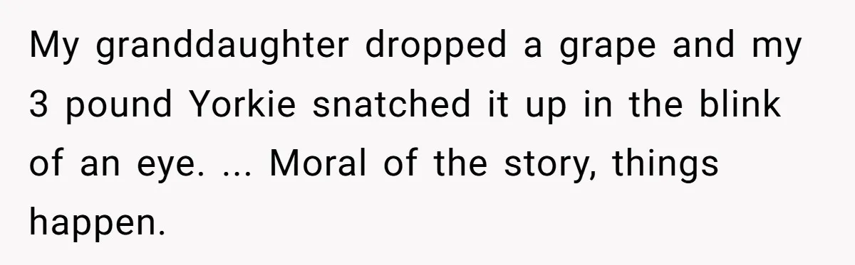 Dog Re-homing Dream Turns into a £1,200 Emergency Over a Handful of Grapes My granddaughter dropped a grape and my 3 pound Yorkie snatched it up in the blink of an eye. ... Moral of the story, things happen.