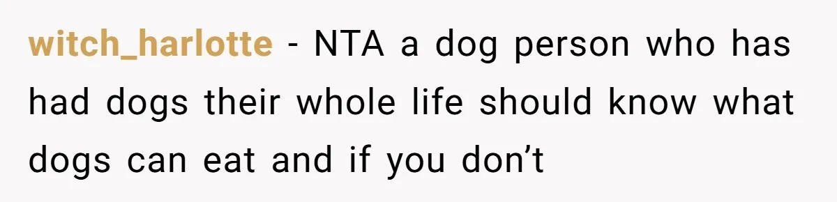 Dog Re-homing Dream Turns into a £1,200 Emergency Over a Handful of Grapes witch_harlotte - NTA a dog person who has had dogs their whole life should know what dogs can eat and if you don’t