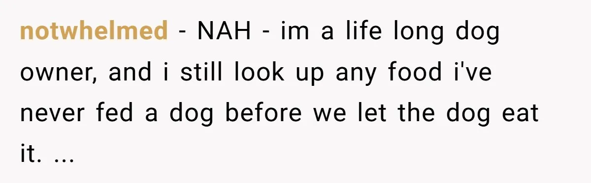 Dog Re-homing Dream Turns into a £1,200 Emergency Over a Handful of Grapes notwhelmed - NAH - im a life long dog owner, and i still look up any food i've never fed a dog before we let the dog eat it. ...