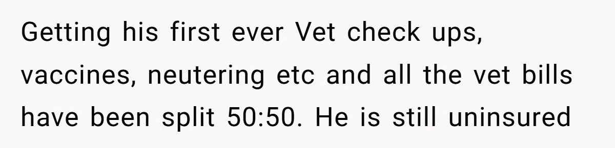 Dog Re-homing Dream Turns into a £1,200 Emergency Over a Handful of Grapes Getting his first ever Vet check ups, vaccines, neutering etc and all the vet bills have been split 50:50. He is still uninsured