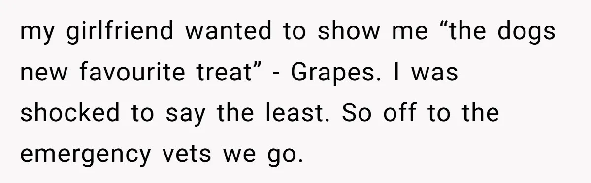 Dog Re-homing Dream Turns into a £1,200 Emergency Over a Handful of Grapes my girlfriend wanted to show me “the dogs new favourite treat” - Grapes. I was shocked to say the least. So off to the emergency vets we go.