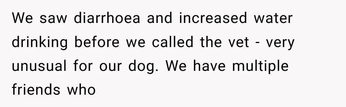 Dog Re-homing Dream Turns into a £1,200 Emergency Over a Handful of Grapes We saw diarrhoea and increased water drinking before we called the vet - very unusual for our dog. We have multiple friends who