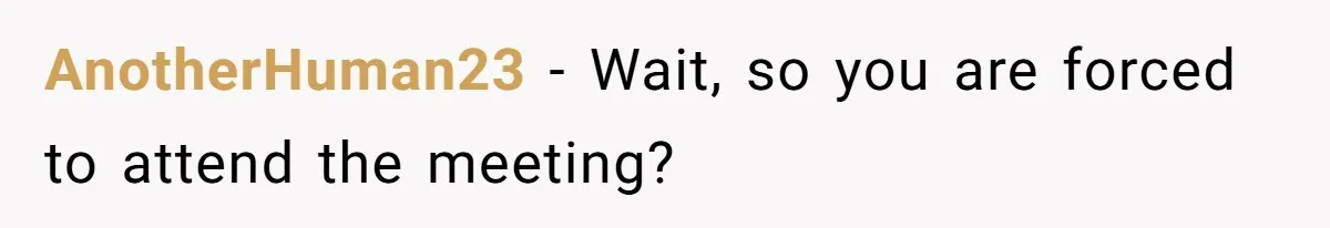 AnotherHuman23 − Wait, so you are forced to attend the meeting?