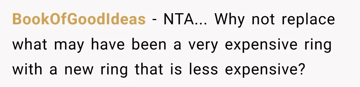 BookOfGoodIdeas − NTA... Why not replace what may have been a very expensive ring with a new ring that is less expensive?