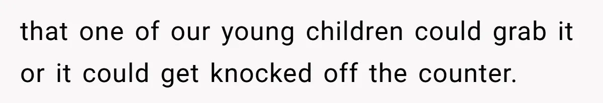 that one of our young children could grab it or it could get knocked off the counter.