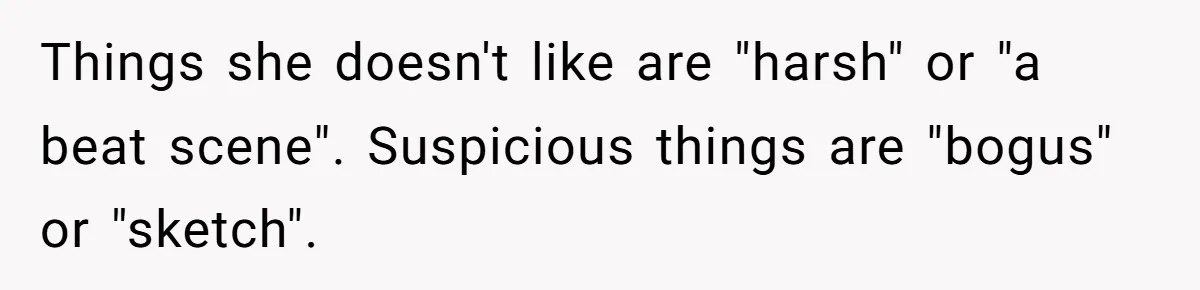 Things she doesn't like are "harsh" or "a beat scene". Suspicious things are "bogus" or "sketch".