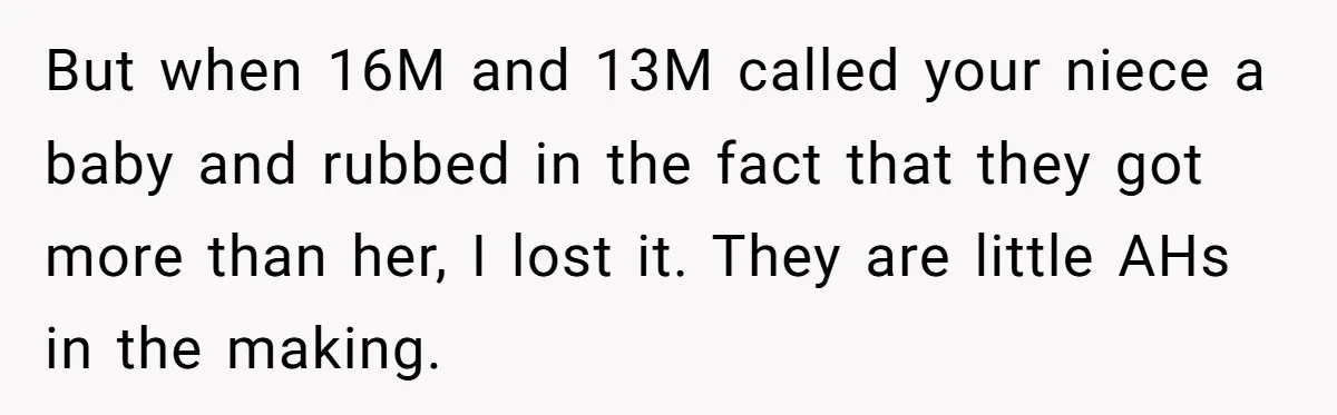 But when 16M and 13M called your niece a baby and rubbed in the fact that they got more than her, I lost it. They are little AHs in the...