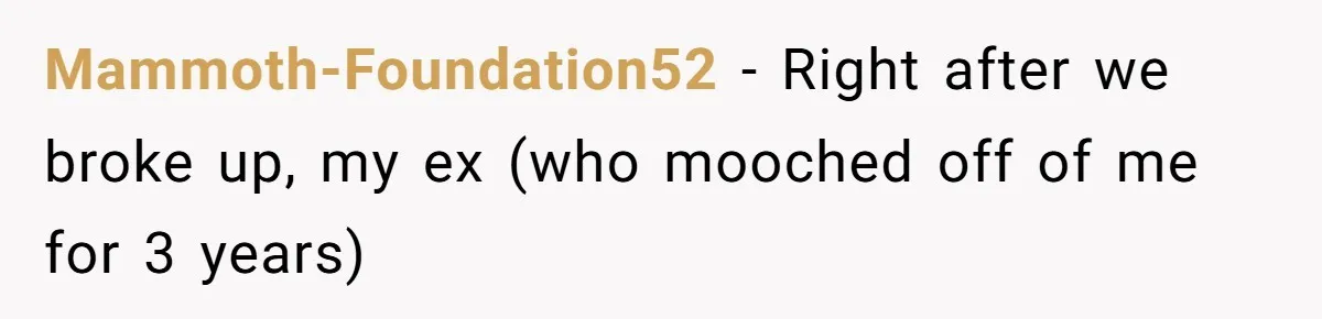 Mammoth-Foundation52 − Right after we broke up, my ex (who mooched off of me for 3 years)