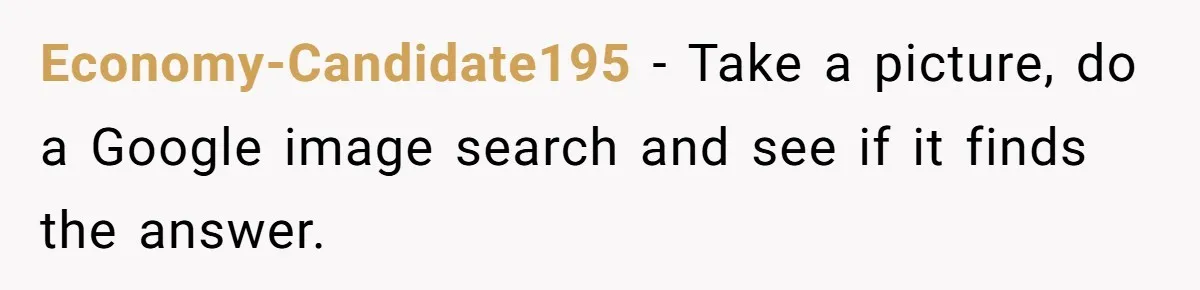 Economy-Candidate195 − Take a picture, do a Google image search and see if it finds the answer.