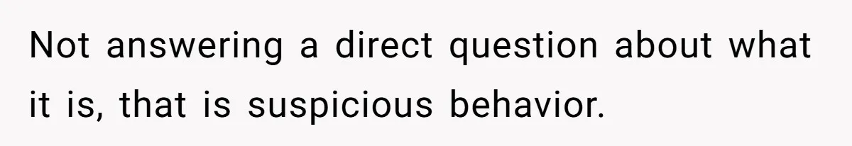 Not answering a direct question about what it is, that is suspicious behavior.