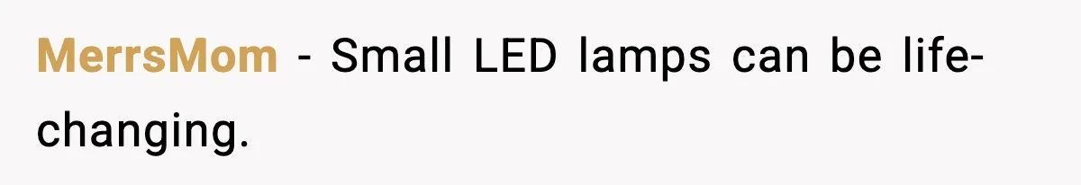 He Walked Away From Christmas Dinner Because the Lighting Made Eating Impossible MerrsMom - Small LED lamps can be life-changing.