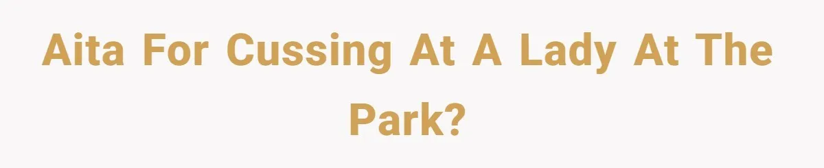 Teen Tries To Be Polite At The Park, Gets Insulted For Defending His Sister AITA for cussing at a lady at the park?