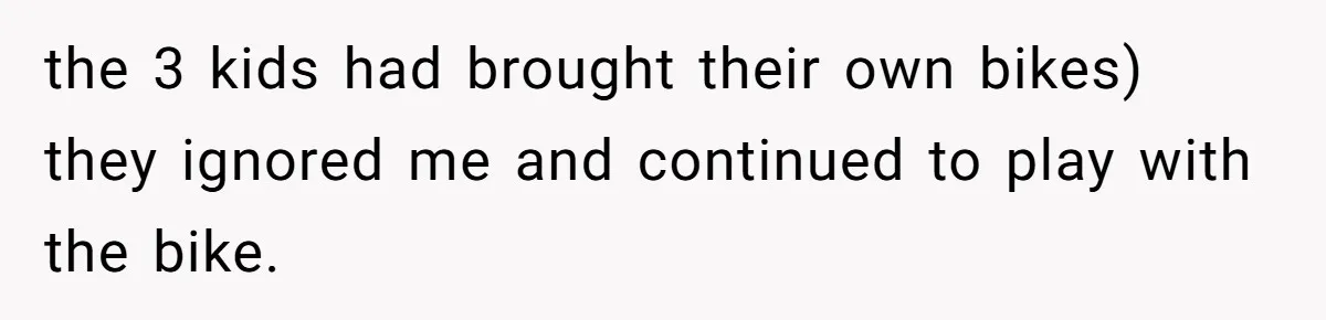 Teen Tries To Be Polite At The Park, Gets Insulted For Defending His Sister the 3 kids had brought their own bikes) they ignored me and continued to play with the bike.