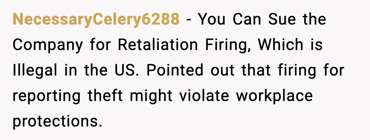 NecessaryCelery6288 - You Can Sue the Company for Retaliation Firing, Which is Illegal in the US. Pointed out that firing for reporting theft might violate workplace protections.