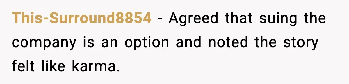 This-Surround8854 - Agreed that suing the company is an option and noted the story felt like karma.