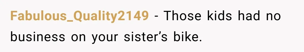Teen Tries To Be Polite At The Park, Gets Insulted For Defending His Sister Fabulous_Quality2149 − Those kids had no business on your sister’s bike.