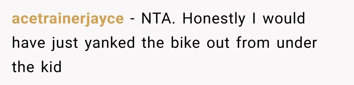 Teen Tries To Be Polite At The Park, Gets Insulted For Defending His Sister acetrainerjayce − NTA. Honestly I would have just yanked the bike out from under the kid