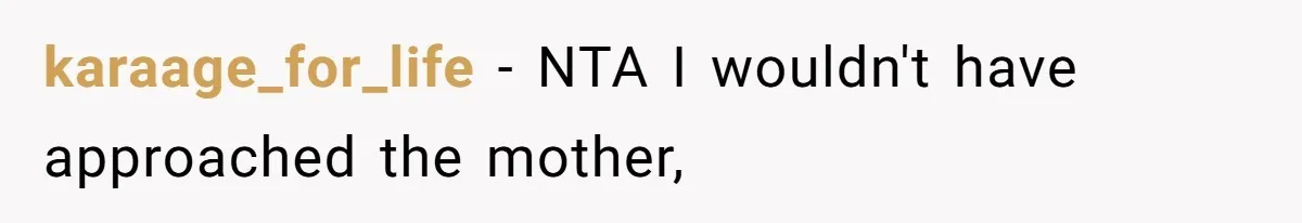 Teen Tries To Be Polite At The Park, Gets Insulted For Defending His Sister karaage_for_life − NTA I wouldn't have approached the mother,