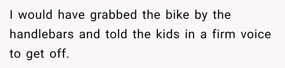 Teen Tries To Be Polite At The Park, Gets Insulted For Defending His Sister I would have grabbed the bike by the handlebars and told the kids in a firm voice to get off.