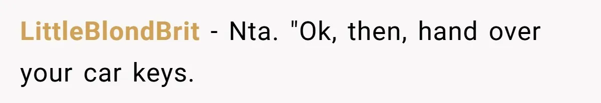 Teen Tries To Be Polite At The Park, Gets Insulted For Defending His Sister LittleBlondBrit − Nta. "Ok, then, hand over your car keys.
