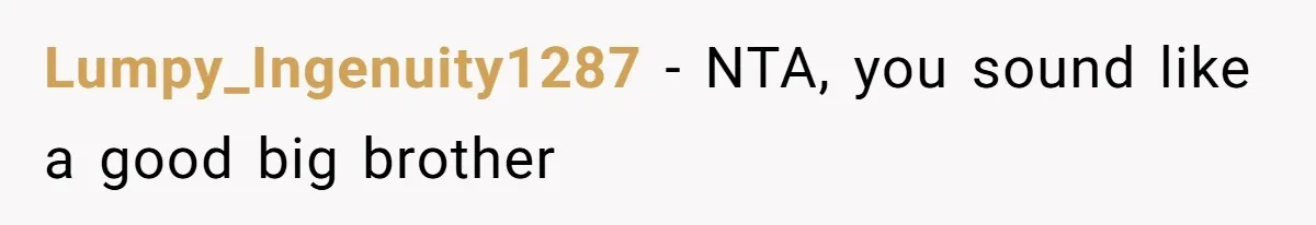 Teen Tries To Be Polite At The Park, Gets Insulted For Defending His Sister Lumpy_Ingenuity1287 − NTA, you sound like a good big brother