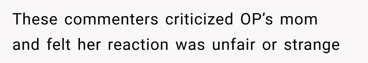 Teen Tries To Be Polite At The Park, Gets Insulted For Defending His Sister These commenters criticized OP’s mom and felt her reaction was unfair or strange