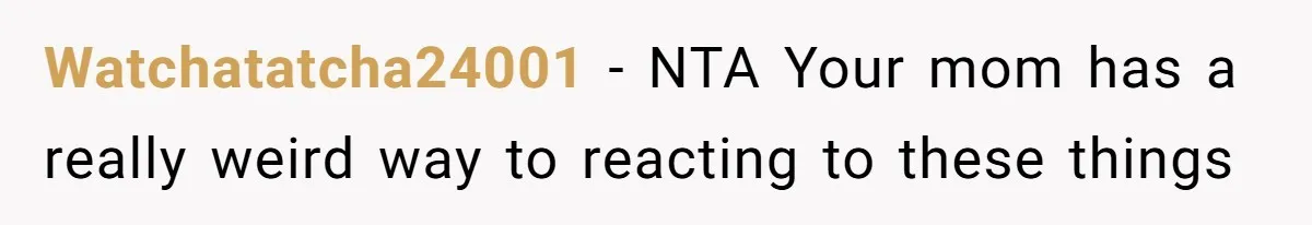 Teen Tries To Be Polite At The Park, Gets Insulted For Defending His Sister Watchatatcha24001 − NTA Your mom has a really weird way to reacting to these things