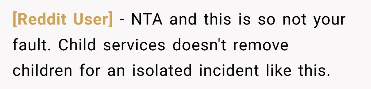 [Reddit User] - NTA and this is so not your fault. Child services doesn't remove children for an isolated incident like this.