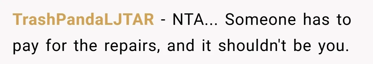 TrashPandaLJTAR − NTA... Someone has to pay for the repairs, and it shouldn't be you.