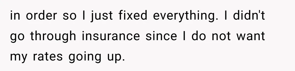 in order so I just fixed everything. I didn't go through insurance since I do not want my rates going up.