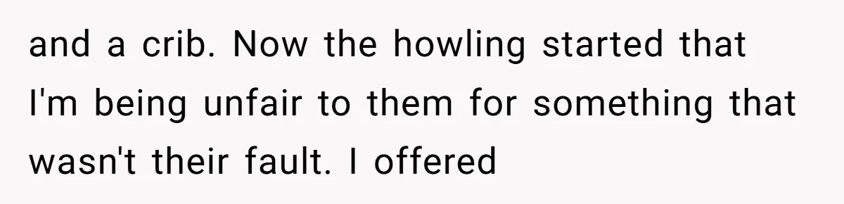 and a crib. Now the howling started that I'm being unfair to them for something that wasn't their fault. I offered