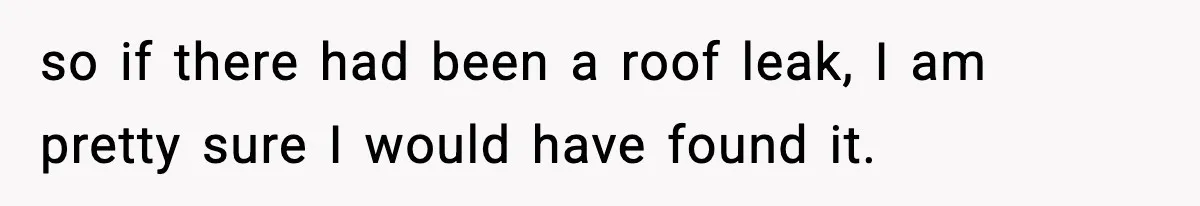 so if there had been a roof leak, I am pretty sure I would have found it.