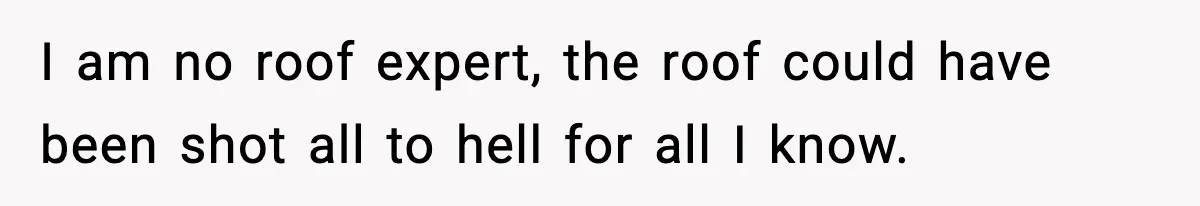 I am no roof expert, the roof could have been shot all to hell for all I know.