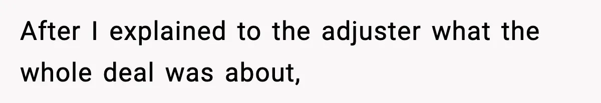 After I explained to the adjuster what the whole deal was about,