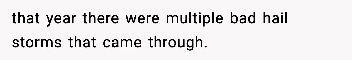 that year there were multiple bad hail storms that came through.