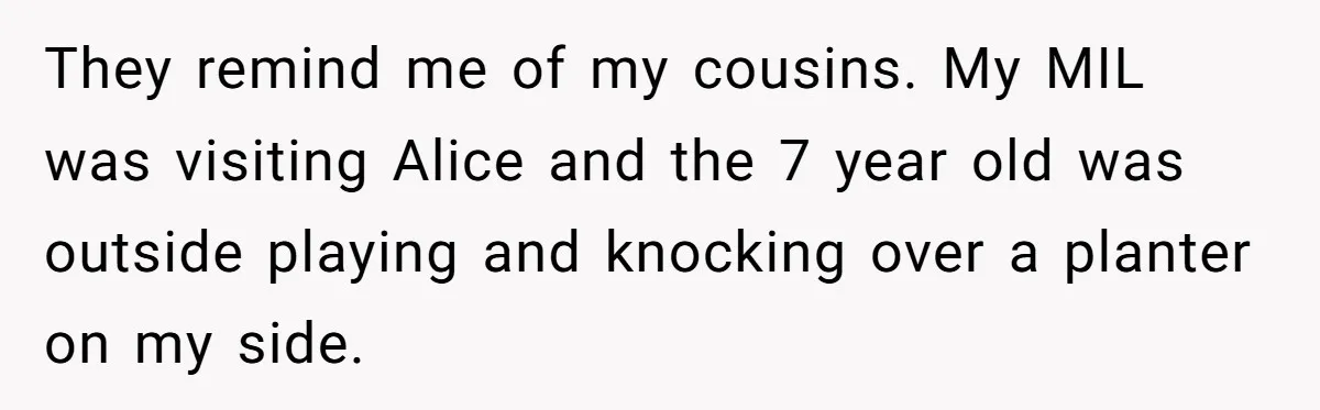 They remind me of my cousins. My MIL was visiting Alice and the 7 year old was outside playing and knocking over a planter on my side.