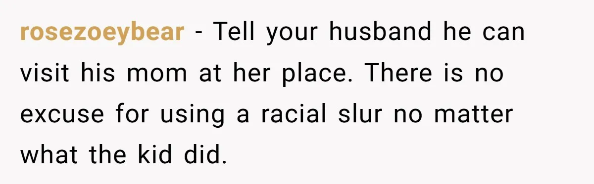 rosezoeybear − Tell your husband he can visit his mom at her place. There is no excuse for using a racial slur no matter what the kid did.