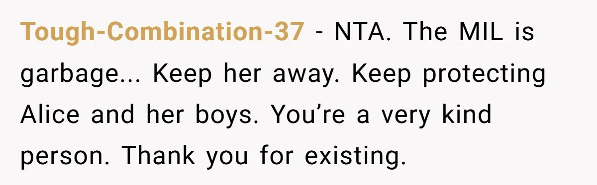 Tough-Combination-37 − NTA. The MIL is garbage... Keep her away. Keep protecting Alice and her boys. You’re a very kind person. Thank you for existing.