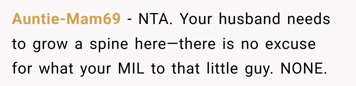 Auntie-Mam69 − NTA. Your husband needs to grow a spine here—there is no excuse for what your MIL to that little guy. NONE.