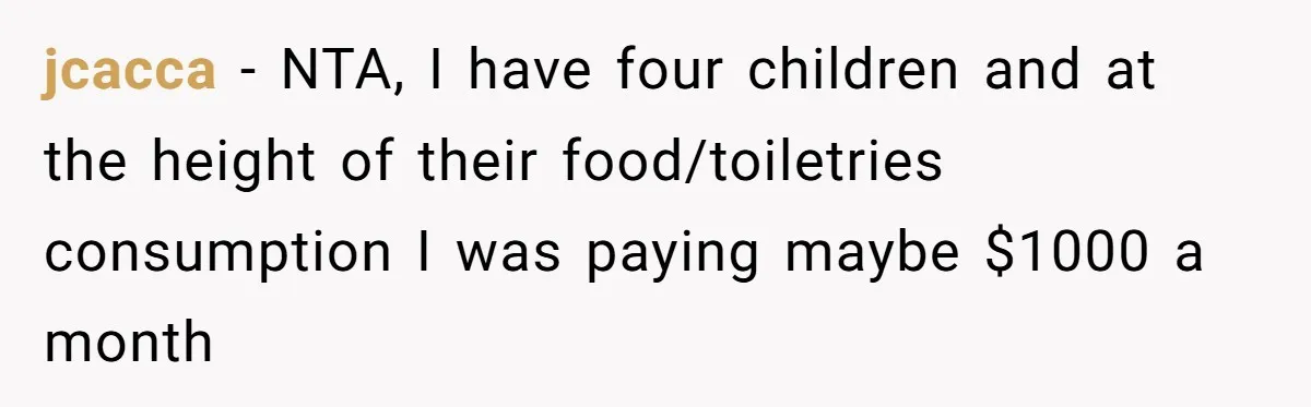 He Spent $1,600 a Month of Her Money While Blaming Her for His Struggles jcacca − NTA, I have four children and at the height of their food/toiletries consumption I was paying maybe $1000 a month