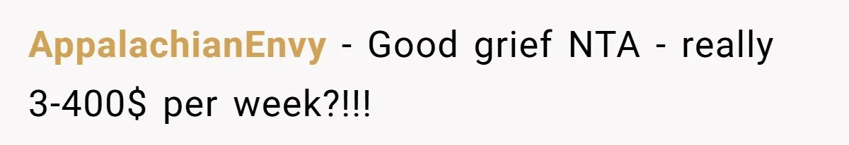 He Spent $1,600 a Month of Her Money While Blaming Her for His Struggles AppalachianEnvy − Good grief NTA - really 3-400$ per week?!!!