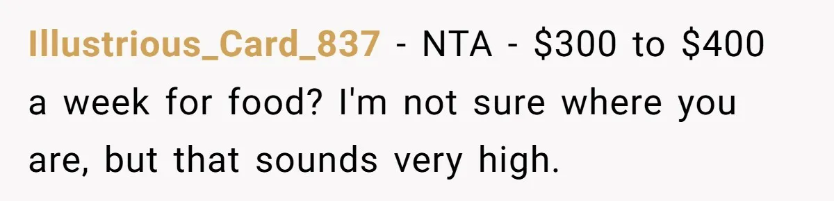 He Spent $1,600 a Month of Her Money While Blaming Her for His Struggles Illustrious_Card_837 − NTA - $300 to $400 a week for food? I'm not sure where you are, but that sounds very high.
