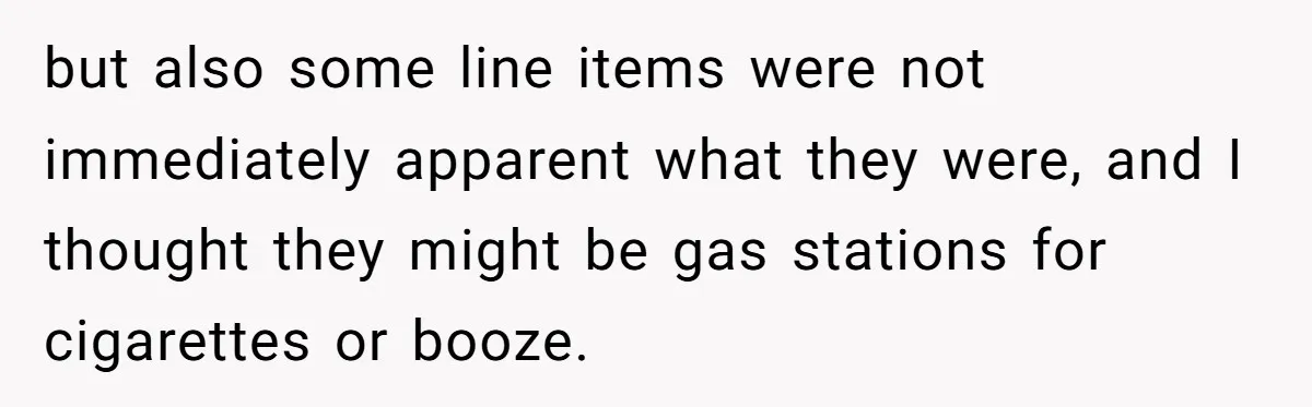 He Spent $1,600 a Month of Her Money While Blaming Her for His Struggles but also some line items were not immediately apparent what they were, and I thought they might be gas stations for cigarettes or booze.