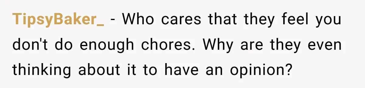 TipsyBaker_ − Who cares that they feel you don't do enough chores. Why are they even thinking about it to have an opinion?