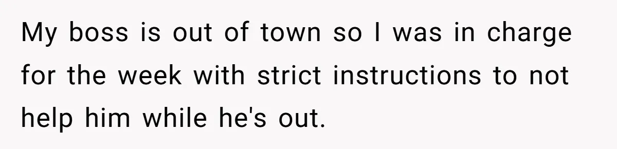 My boss is out of town so I was in charge for the week with strict instructions to not help him while he's out.